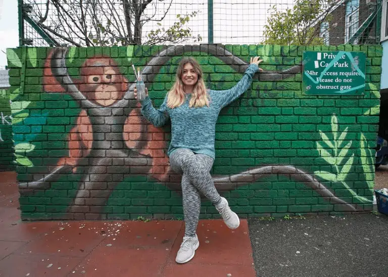 Street Art For Change Mural Orangutan Baby - Artist Blog - Zieler Art Supplies