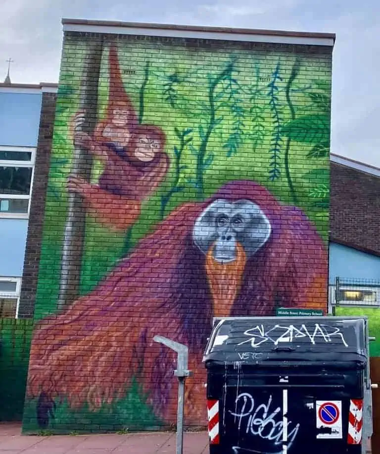 Street Art For Change Mural Orangutan - Artist Blog - Zieler Art Supplies