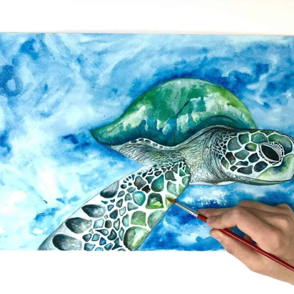 Turtle Watercolour - Guide Watercolour Painting