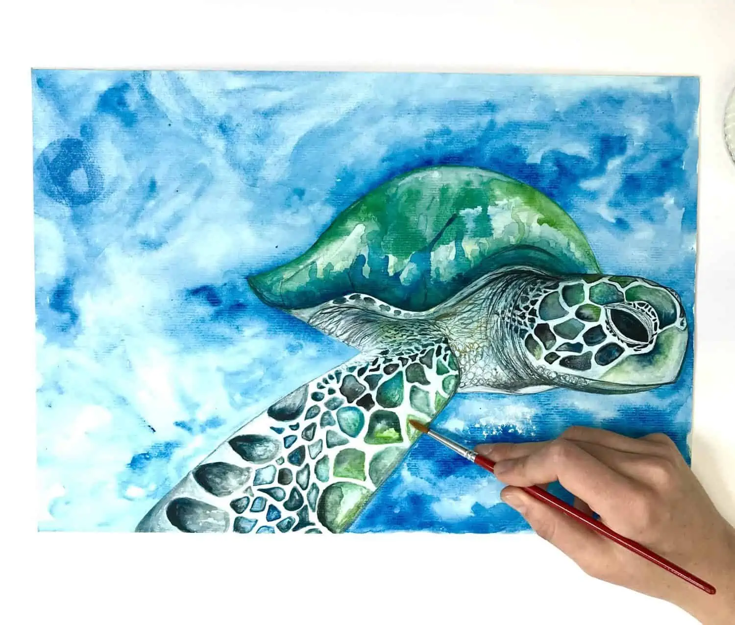 Turtle Watercolour - Guide Watercolour Painting