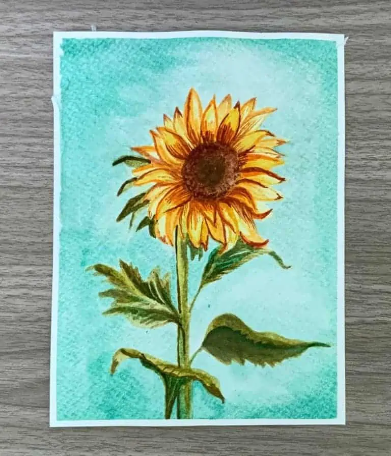 How To Paint A Sunflower - Zieler