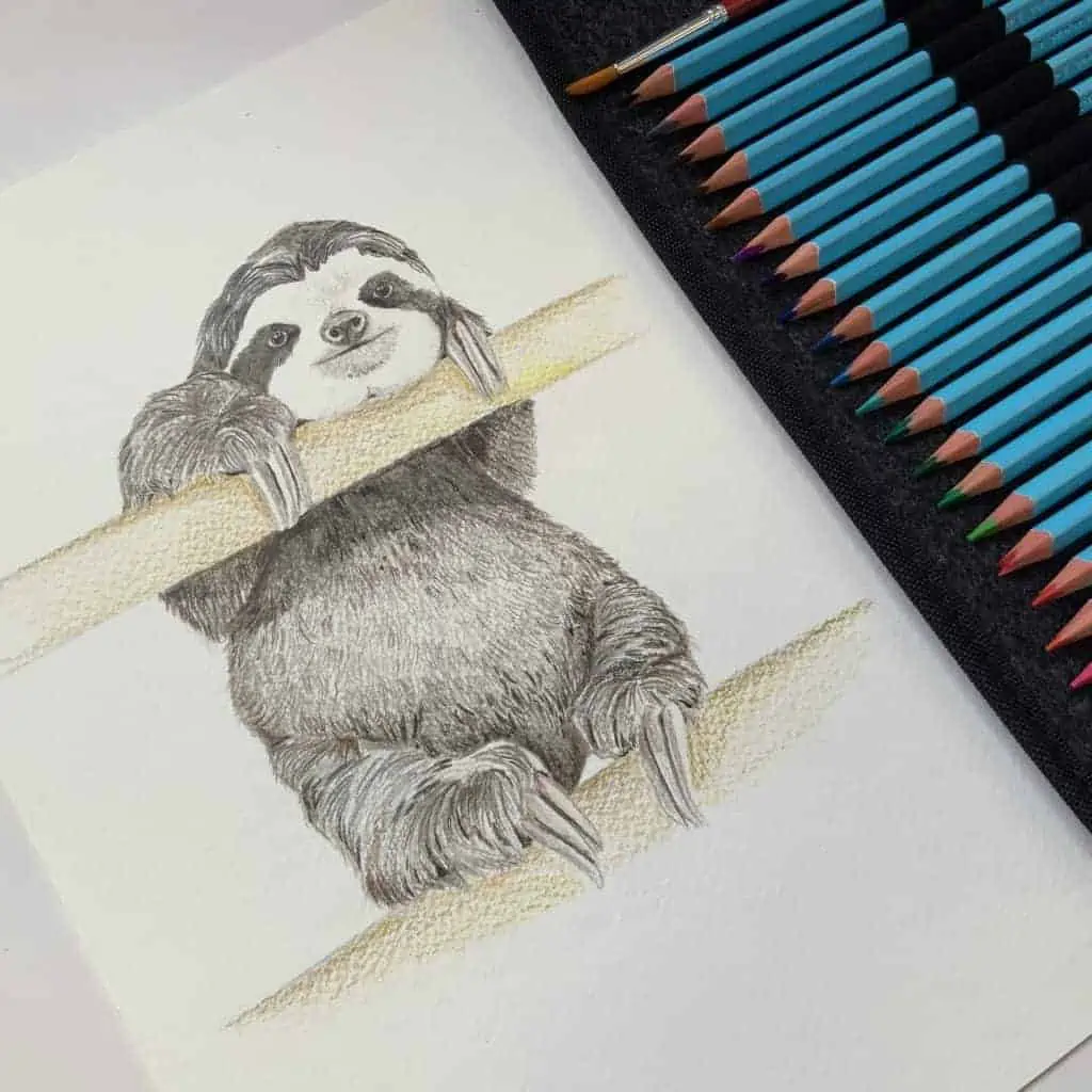 Coloured-Pencil-Drawing-Sloth