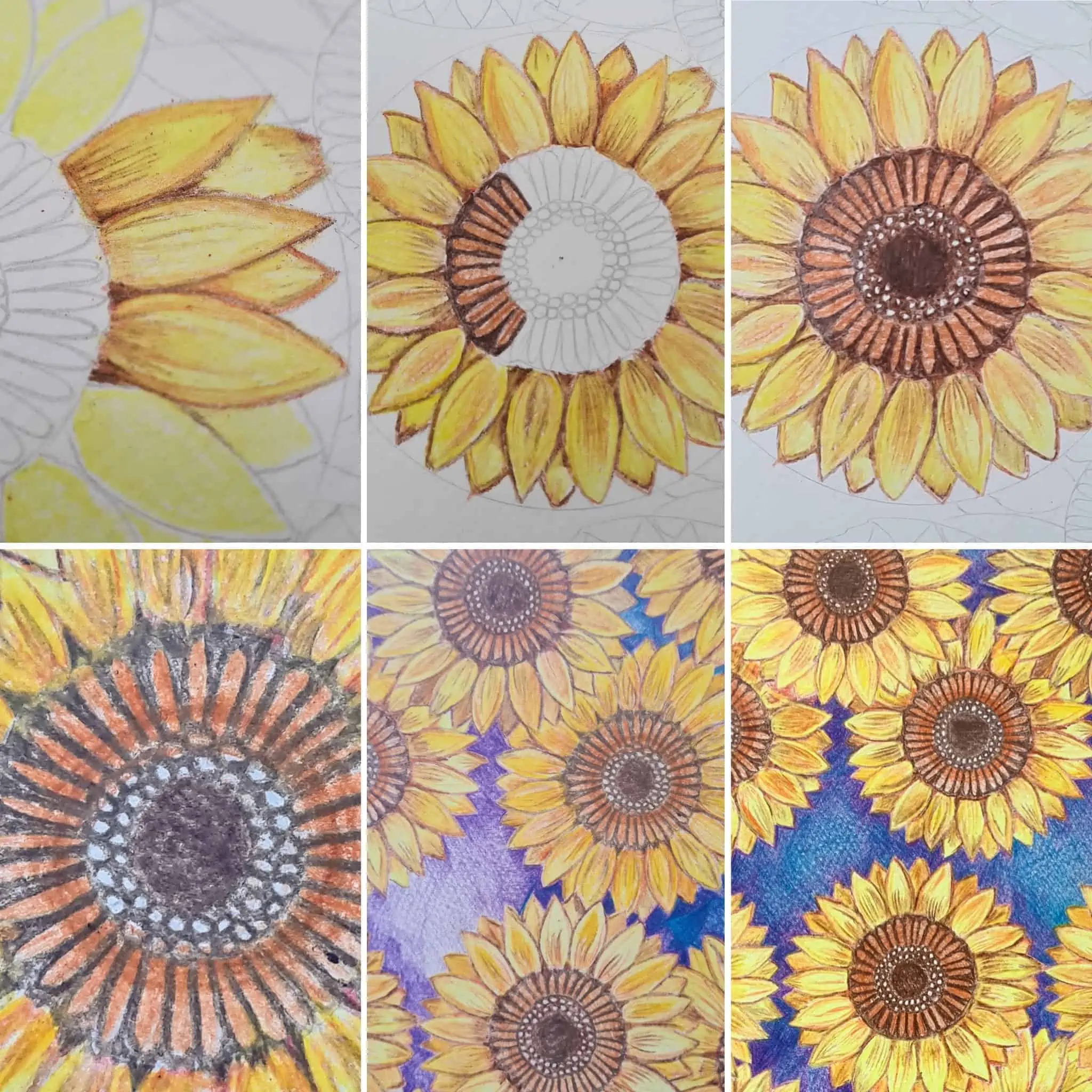Sunflower-Colouring-Pencil-Step-By-Step-Image