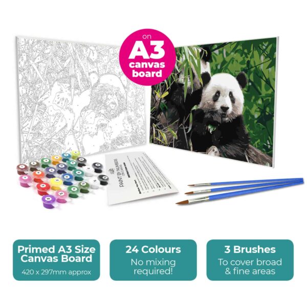 Pbn Set Pandas - Zieler Art Supplies